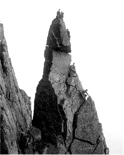 napes_needles